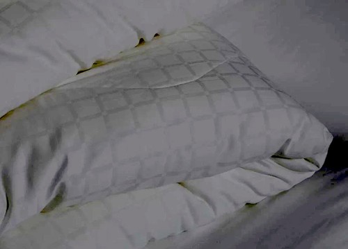 The white company - white, piumino