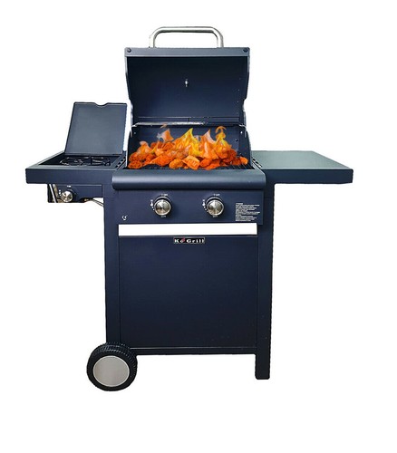 Grill barbecue arrosto - grill,