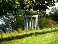 Photo 6x4 Gazebo with sheep by