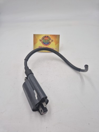 Bobina accensione denso - accensione,