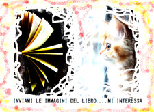 Fotografia nera - fotografia:,