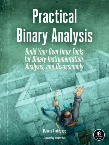 Practical binary analysis - binary,