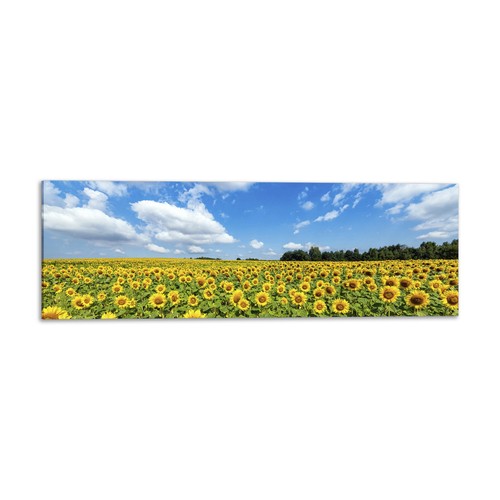 Quadro stampa tela - quadro,