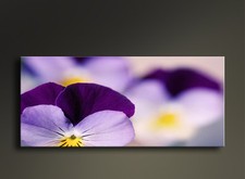 Purple Flower Paintings -