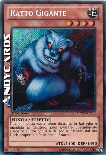 Ratto gigante - ratto, (giant