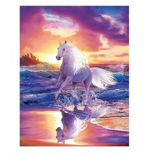 DCIDBEI Square Diamond Painting Grandi Dimensioni Cavalli 40x50cm Quadri con C