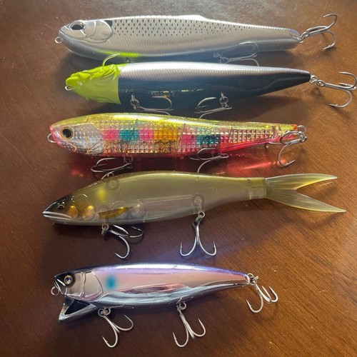 Ranker spigola grande esca - , set