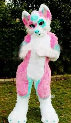 Costume lungo pelliccia - , husky