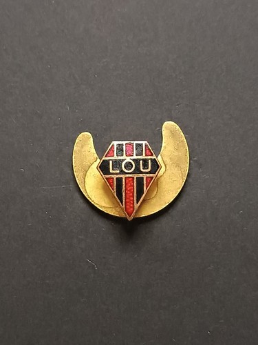 Pins pin badge spilla - pins,