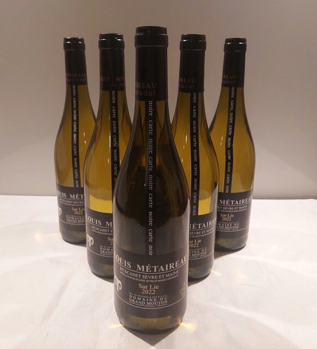 Lot bouteilles muscadet - lot,