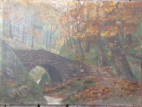 Ponte arco nel bosco - ::ponte,