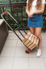 Carrello pieghevole Portatutto Portapacchi