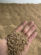 Nocciolino di Sansa |