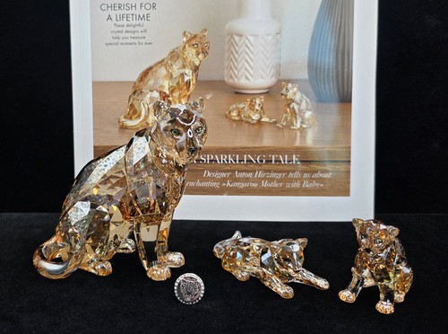 Swarovski scs 2019 - 2019, annual