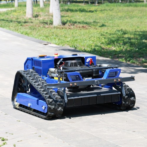 Robotico tagliaerba benzina - a,