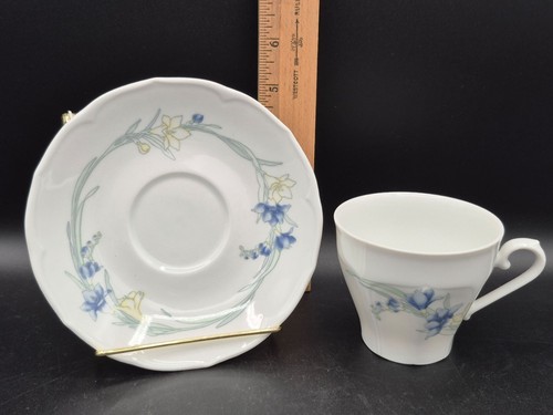 Tazza piattino scherzer - tazza,