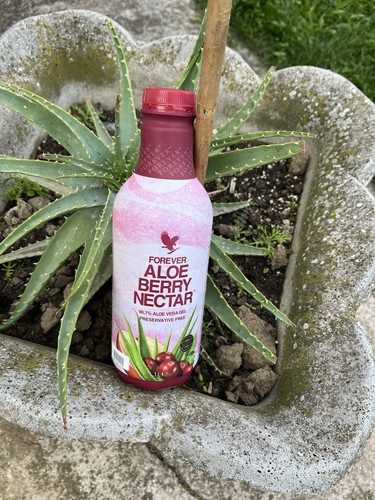 Aloe vera berry nectar - ,