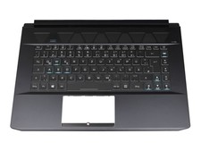 Acer Predator Triton 500