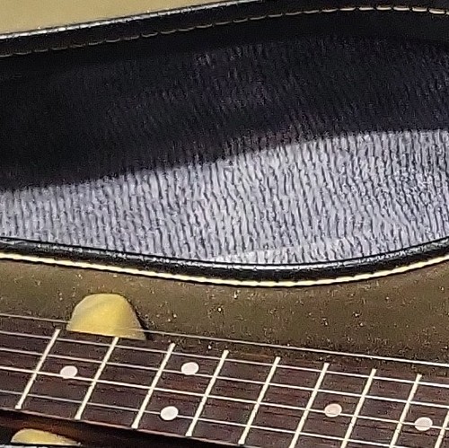 Banjo remo 1100 corde - banjo, bj-1100