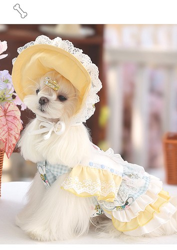 Carino coniglietto lolita - carino,