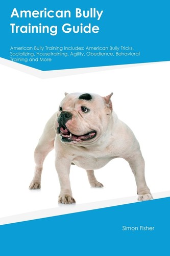 Simon fisher american bully - american,