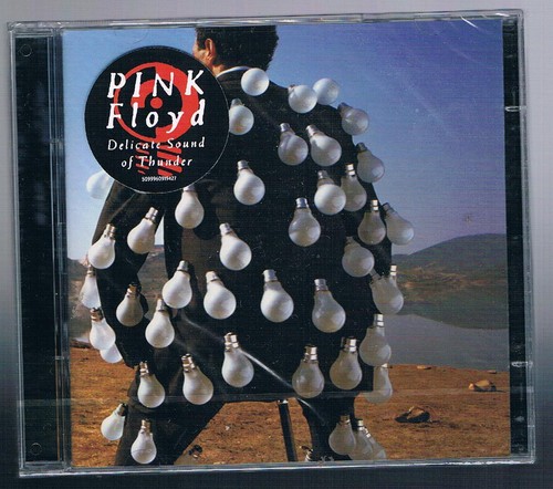 Pink floyd delicate sound - floyd,