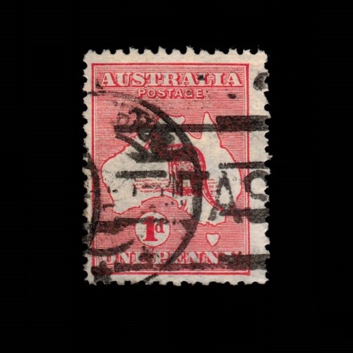 Australia scott canguro e - canguro,