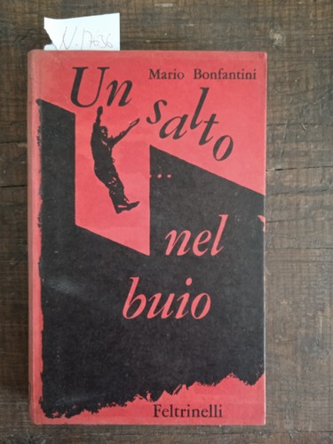 Salto nel buio mario - salto,