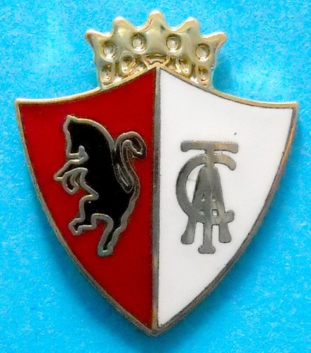 Distintivo spilla pin badge - distintivo,