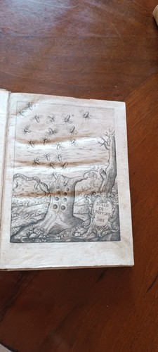 Polemiche barocche vittorio - barocche,,