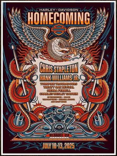 Poster chris stapleton hank - poster,