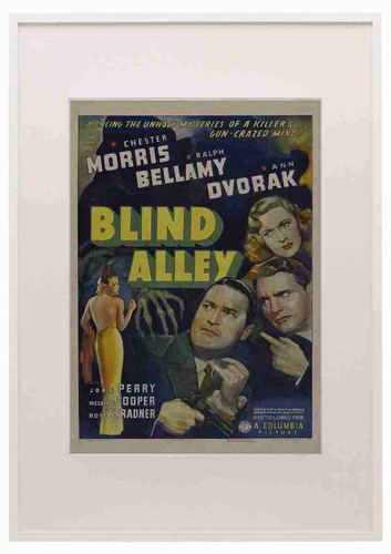 Blind alley film - blind,