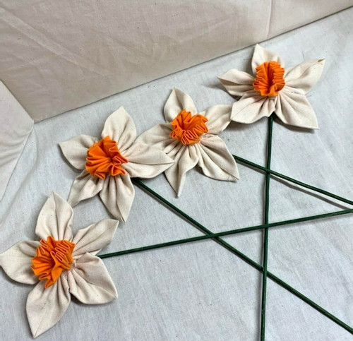 Narcisi/Fiori/Crema-Arancia/Fa