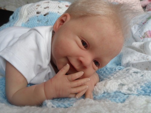 Reborn sebastian assolutamente - reborn,