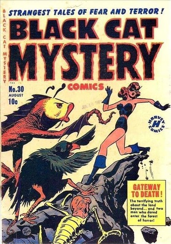 Black cat mystery - black,