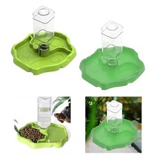 Mangiatoie per rettili