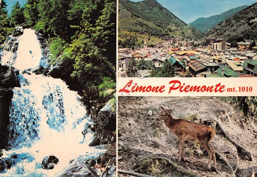 Cartolina limone piemonte - cartolina,