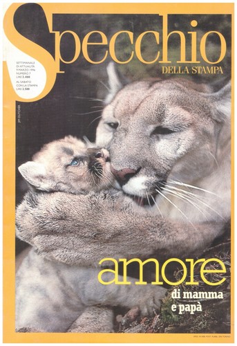 Rivista specchio della stampa - rivista,