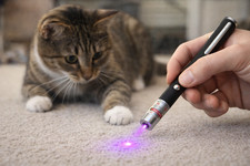 Puntatore Laser per Gatti