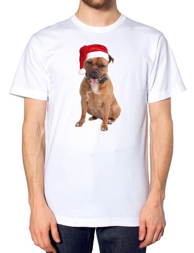 Staffordshire bull terrier - staffordshire,