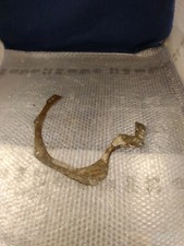 PIASTRA CAMPANA POST CAMBIO COMPATIBILE CON ALFA ROMEO GIULIA - GT - SPIDER