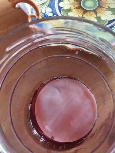 Kombucha elisir lunga - "elisir,