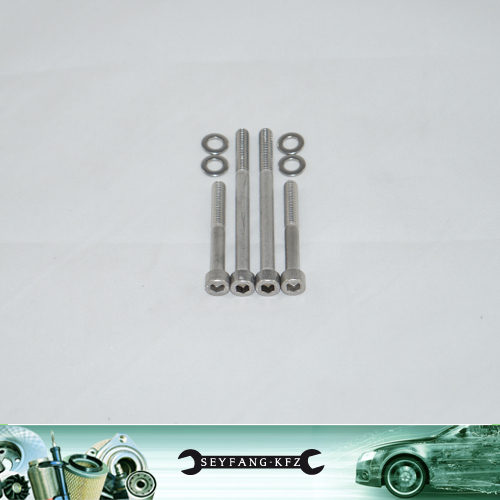 Viti acciaio inox cappuccetto - acciaio,