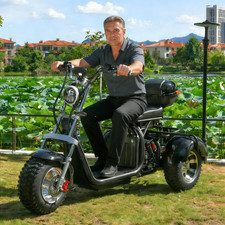 Off-road electric tricycle for