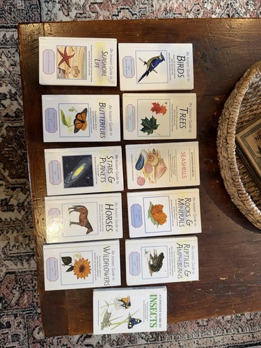 Instant guide set - guide,
