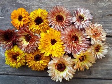  50 Semi Di Calendula Marigold