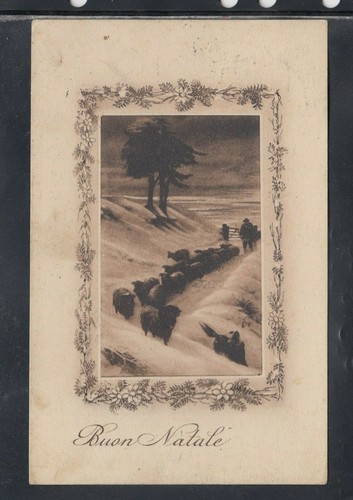 Cartolina buon natale - cartolina, pastore