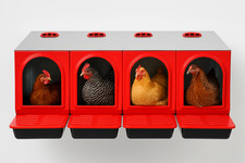 NIDO QUADRIFAMILIARE PER