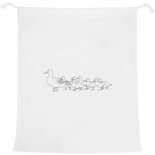 Duck family following - 'duck,
