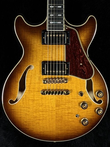 Chitarra elettrica ibanez - chitarra,